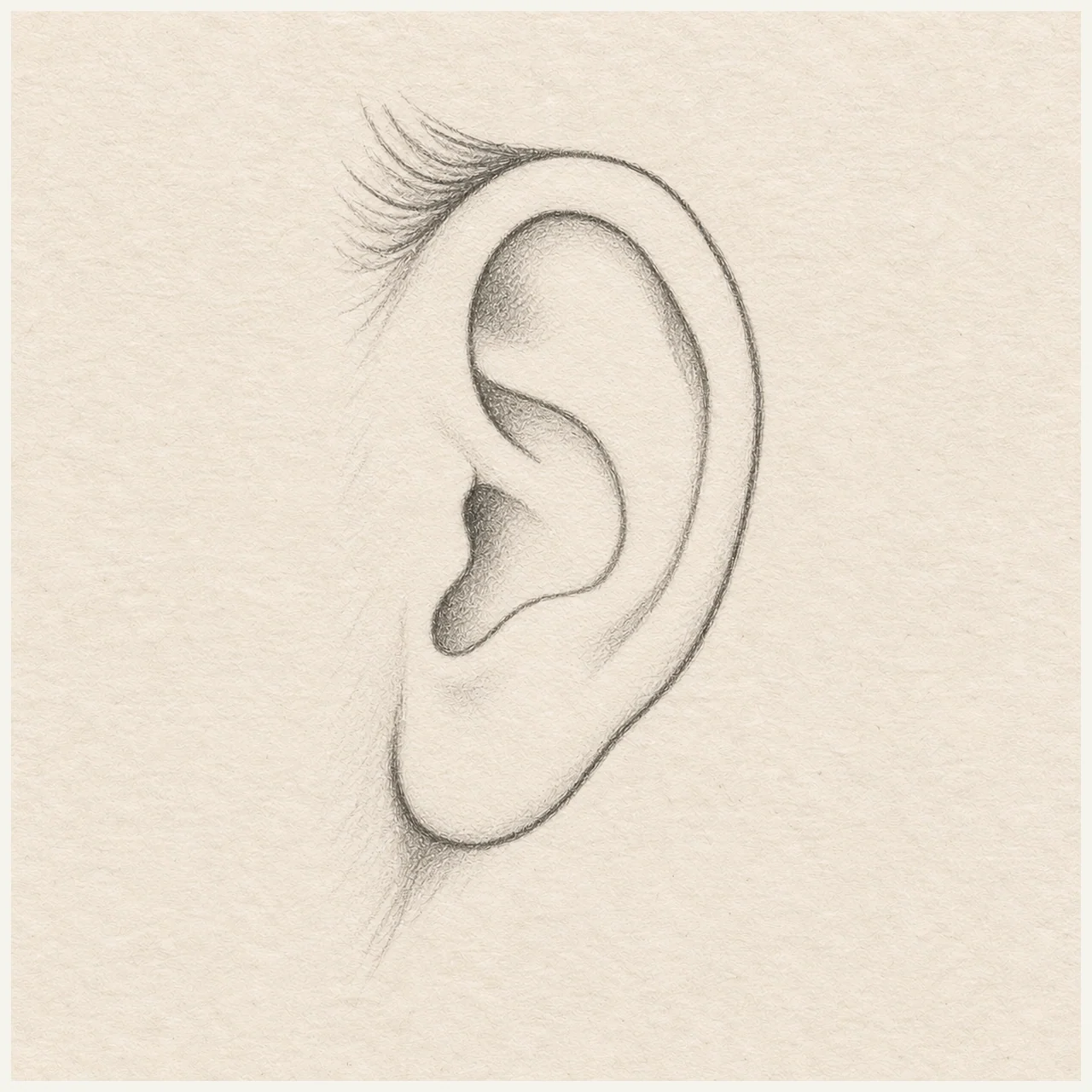 Human ear drawn in black and gray pencil on pale cream textured sketchbook paper, with a complete silhouette and open margins.