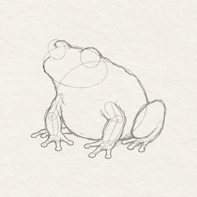 The same frog construction with rounded toe outlines around all four fans added on the unchanged textured paper.