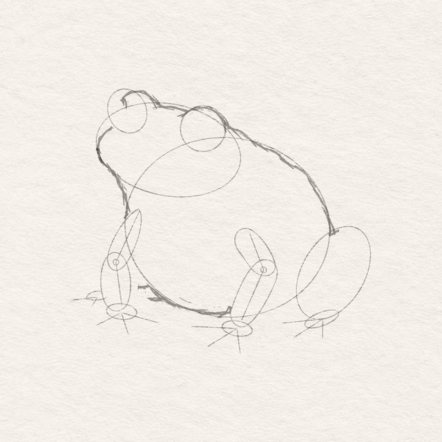 The same frog construction with chosen head brow back and belly contours added on the unchanged textured paper.