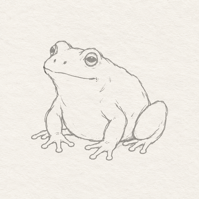 The same finished pencil frog without construction guides, retaining selected outlines and small facial details on the unchanged paper.
